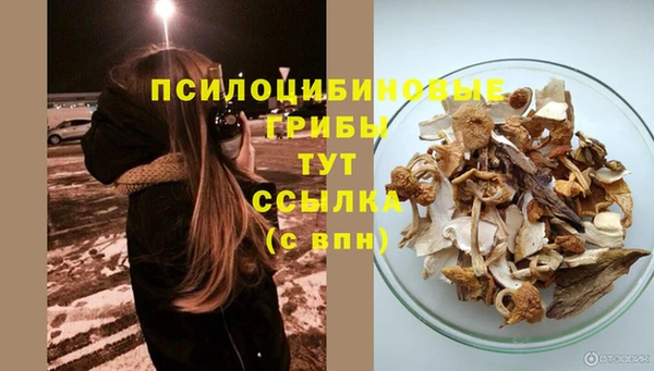 прущие крисы Михайловка