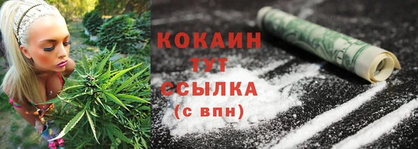 тгк Надым
