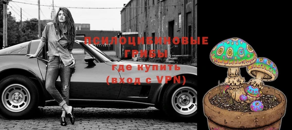 spice Михайловск