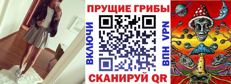 ОМГ ОМГ tor Урень Псилоцибиновые грибы Cubensis