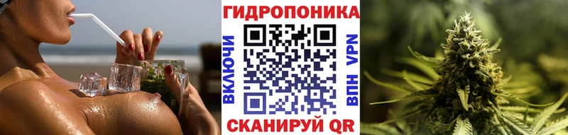 закладки Урень Конопля марихуана